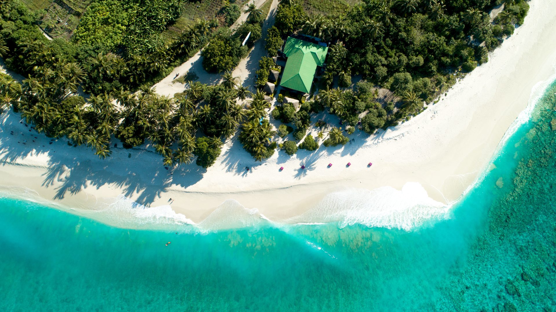 A Maldivian island from the air, white sand meeting turquoise water
